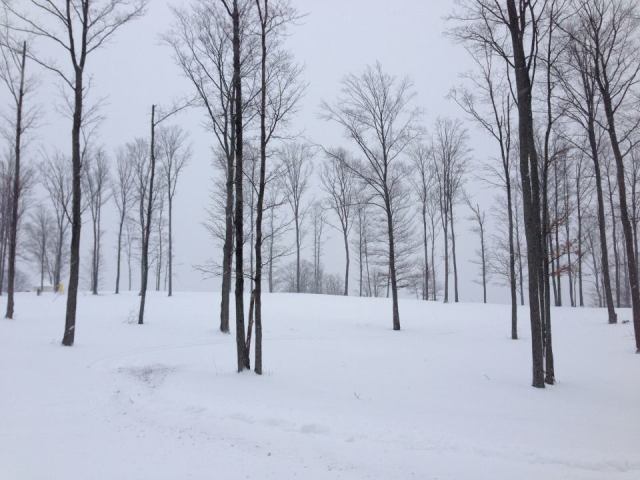 309455_10100224376260377_467930032_n